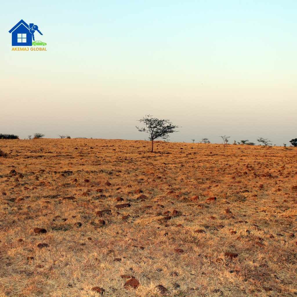 AkeMaj-Land and Property